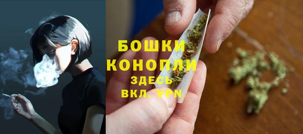 амф Карпинск