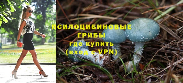 крисы Карталы