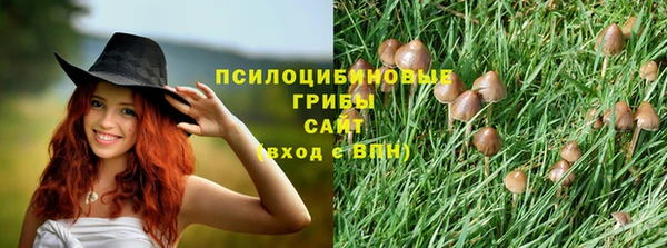 спайс Касимов