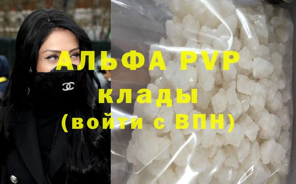 спайс Касимов