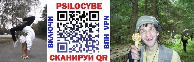 Псилоцибиновые грибы GOLDEN TEACHER  Купить  Вязники 